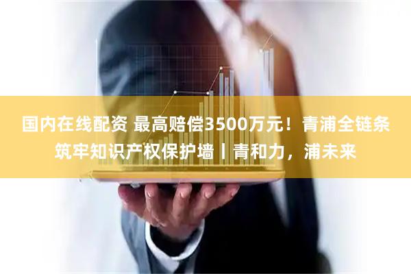 国内在线配资 最高赔偿3500万元！青浦全链条筑牢知识产权保护墙丨青和力，浦未来