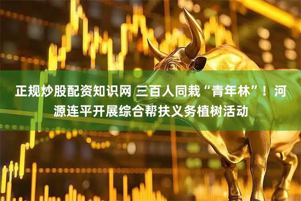 正规炒股配资知识网 三百人同栽“青年林”！河源连平开展综合帮扶义务植树活动